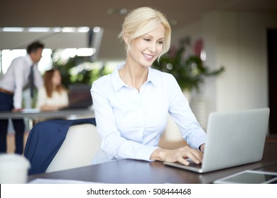 Shot of an executive businesswoman working on her laptop in office while business people consulting in the background.