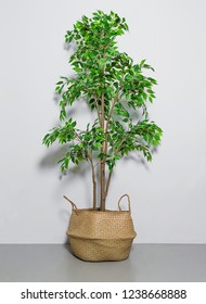 Shot Of A Fake House Plant In Basket