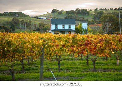 Shot Of A Farm House Located In A Sonoma Vineyard.