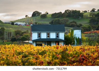 Shot Of A Farm House Located In A Sonoma Vineyard.