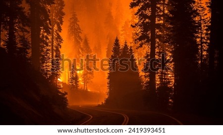 A shot of a forest on fire due to global warming and climate change. 