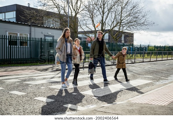 A shot of a four person family crossing the road\
safely at a zebra crossing, the parents are taking their children\
home from school.