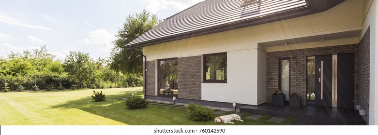 Shot of a front of stylish house and a dog sleeping on the lawn - Powered by Shutterstock