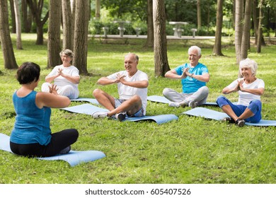 Shot of a group of elderly people sitting on mats in a park and exercising