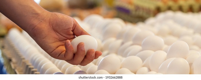 Shot of a hand of man picking up one fresh chicken egg from full egg tray in farmers market stall, a lot of egg shelf in the background, bio organic produce, eco food concept, narrow banner