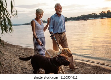Shot of a happy senior couple walking by the river with their dogs
