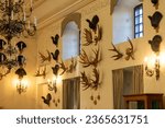 Shot of the hunting trophies on the wall of the room