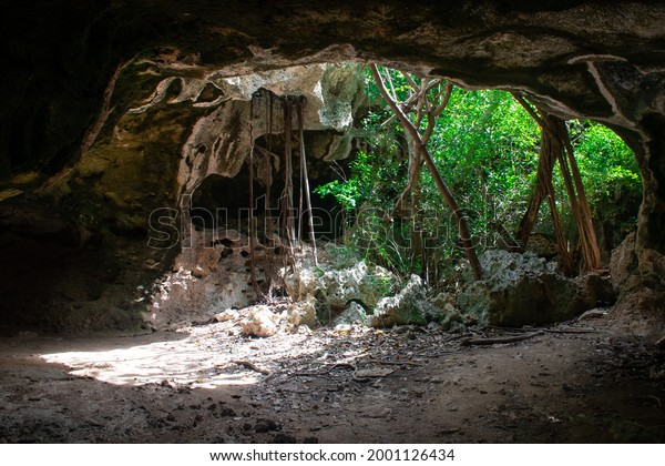 A shot from inside the Bat Cave in Cayman\
Brac looking out into the dense vegetation. These limestone\
formations make pleasant tourist\
attractions