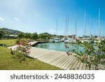 Shot of Jolly Harbour Marina, private dock with charter sailing boats on a sunny day with blue sky, and bougainvillea flowers decorating the dock in Antigua and Barbuda islands in the Caribbean