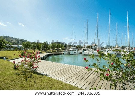 Shot of Jolly Harbour Marina, private dock with charter sailing boats on a sunny day with blue sky, and bougainvillea flowers decorating the dock in Antigua and Barbuda islands in the Caribbean