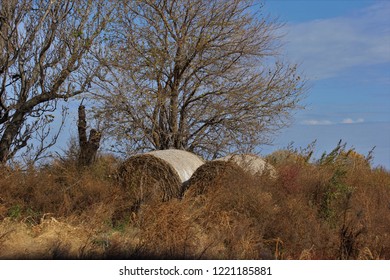 A Shot Of A Kansas Landscape With A Fence,weeds,tumble Weed's,blue Sky, And Bare Tree's That's In The Fall Out In The Country. East Of Sterling Kansas USA.