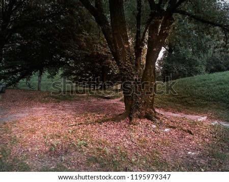 cast shadow Colour photo