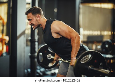 Shot Of A Muscular Guy In Sportswear Working Out With Barbell At The Cross Training Gym. He Is Pumping Up Back Muscule With Heavy Weight.