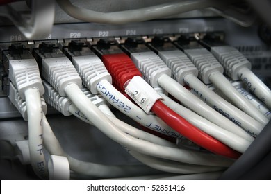 A shot of network cables in Data Center. UTP cables connected to a Patch Panel. Data Network Hardware Concept. RJ45 connectors.