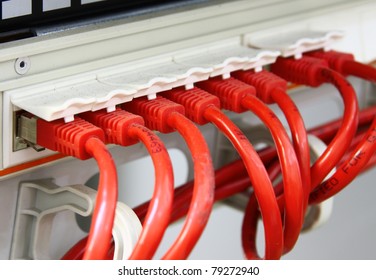 A shot of network cables in Data Center. UTP cables connected to a Patch Panel. Data Network Hardware Concept. RJ45 connectors.