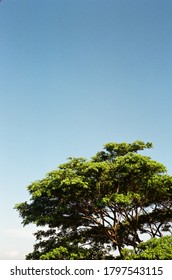 Shot on Canon AE-1 Program with Kodak Pro Image 100.