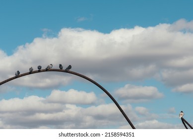 A Shot Of Pigeons Perching On An Arched Metal Bar Against Blue Cloudy Sky