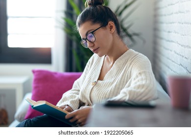 Shot of pretty young woman with eyeglasses reading a book while sitting on sofa at home. - Shutterstock ID 1922205065
