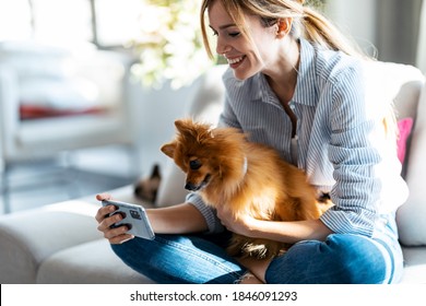 Shot Of Pretty Young Woman With Her Cute Dog Using Mobile Phone While Sitting On Couch In Living Room At Home.