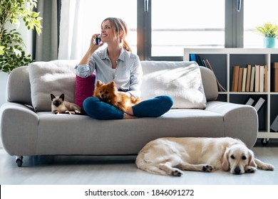 Shot of pretty young woman talking with mobile phone while sitting in couch with her dogs and cat at home. - Powered by Shutterstock