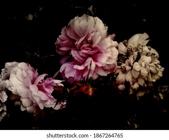 shot still life contained vintage roses - Shutterstock ID 1867264765