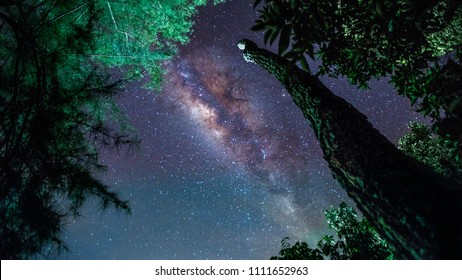 Shot This Milky Way Galaxy In Asia. It Is Really Beautiful. Big Tree Log, And House Are Use As Foreground. The Galaxy Is The Background. It Shows The Connection Between Universe And The Earth.