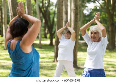 Shot Of Three Women Doing Yoga In A Park