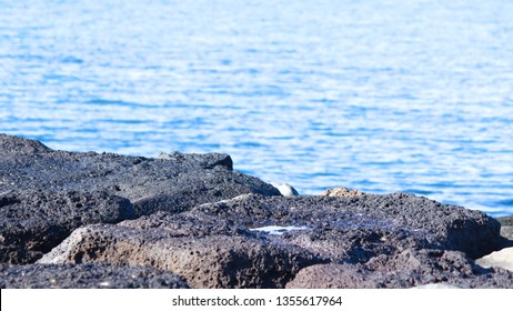 Shot At Williamstown Beach