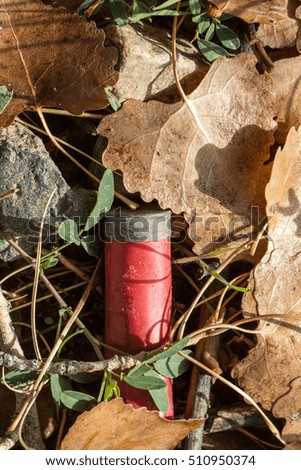 Shotgun shell hidden in the fall leaves