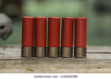Shotgun shells ammunition with gun