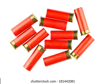 Shotgun shells isolated on white background