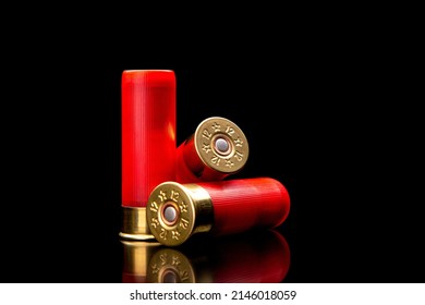 Shotgun shells on a black reflective surface. Ammunition for 12 gauge smoothbore weapons. Hunting ammunition. Dark background.