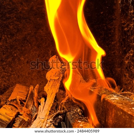 Similar – Image, Stock Photo Preparation of meal on a fire