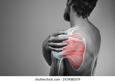 Shoulder Muscle And Nerve Pain, Man Holding Painful Zone Injured Point, Human Body Anatomy