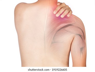 shoulder muscle pain white background shoulder injury