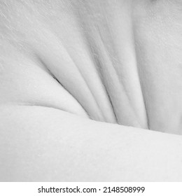 Shoulder And Neck. Macro Photography. Detailed Texture Of Human Skin. Close Up Part Of Female Body. Skincare, Bodycare, Healthcare, Hygiene And Medicine Concept. Black And White Picture