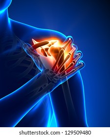 Shoulder pain - Anatomy concept