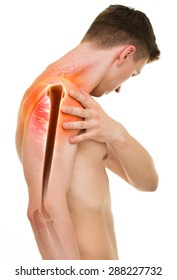 Shoulder Pain - Anatomy Male Holding Shoulder isolated on white - Shutterstock ID 288227732
