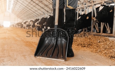 Shovel for farm work, Fresh hay for cows, agriculture worker of livestock. Concept cattle industry farming.