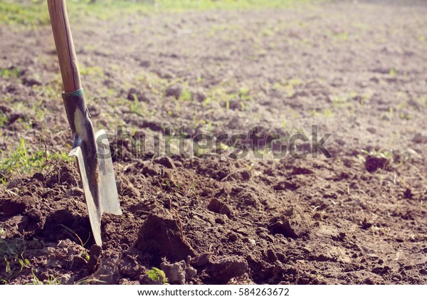 Shovel Sticking Out Ground Dug Background Stock Photo (edit Now) 584263672