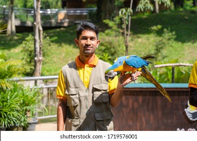 50 Parrot Flying To Trainer Images, Stock Photos & Vectors | Shutterstock