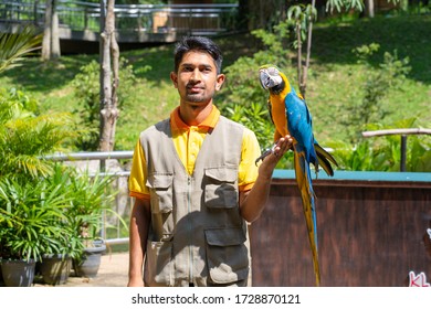 50 Parrot Flying To Trainer Images, Stock Photos & Vectors | Shutterstock