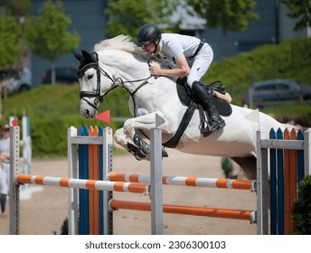 Show jumper with white horse over the jump, close-up from the left.
 - Powered by Shutterstock