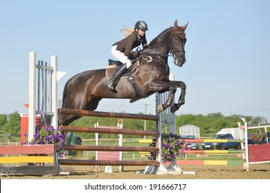 Show Jumping 