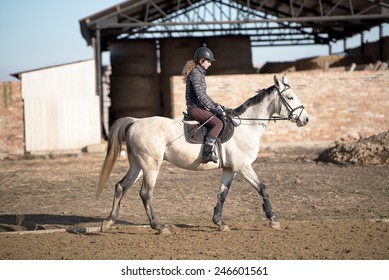 Show Jumping
