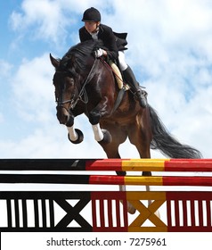 Show Jumping