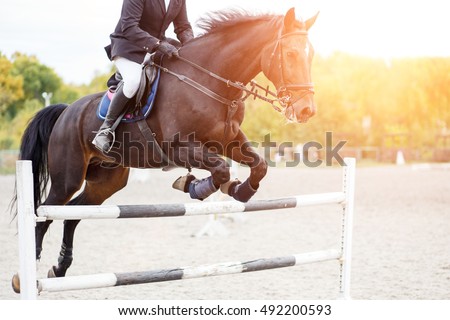 Show jumping close up image. Male horse rider jumping over hurdle on competition
