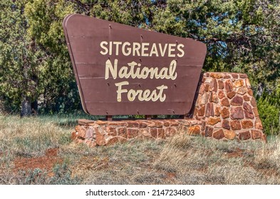 Show Low, Arizona, United States 6-13-2020 Apache Sitgreaves National Forest In Rural Arizona