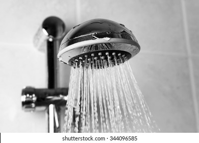 Shower Head