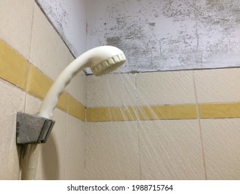 Shower In Ugly Beat Up Bathroom